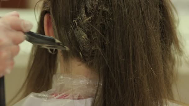 Aplicar tinte para el cabello con cepillo — Vídeo de stock