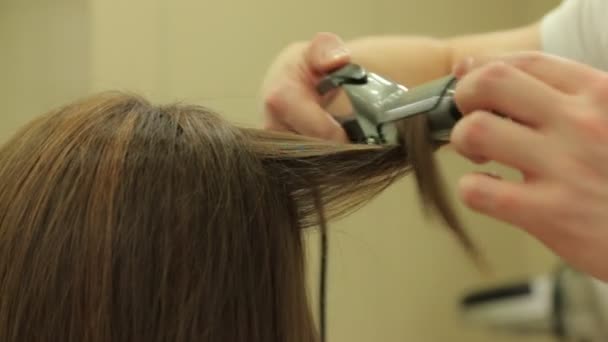 Fodrász göndör haj — Stock videók