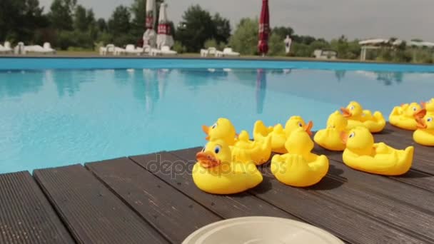 Sarı lastik ördek tarafından Havuzu, çekimde orta itme — Stok video