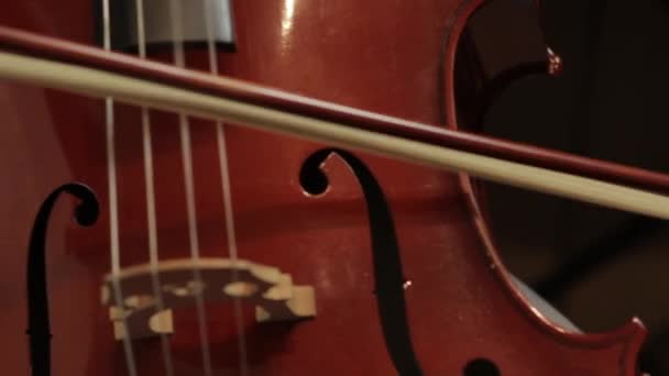 Girl Playing On The Violoncello — Stock Video