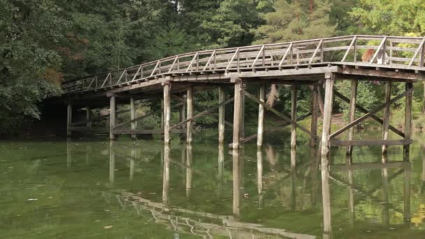 Ponte in legno nella foresta — Video Stock