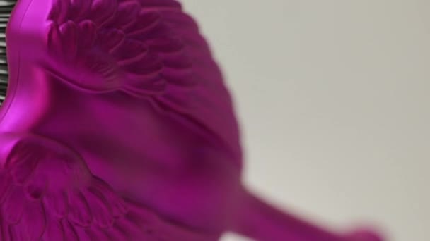 Професійних волосся гребінцем рожевий чорний — стокове відео