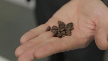 Yandan kahve taneleri