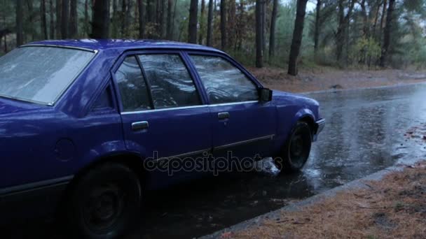 Coche en un bosque lluvioso — Vídeos de Stock