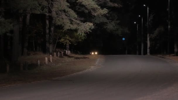 车停在林中夜路上 — 图库视频影像