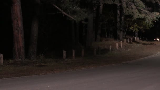 Niebezpieczna jazda na drodze noc — Wideo stockowe