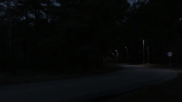 漆黑的夜晚路在森林里 — 图库视频影像