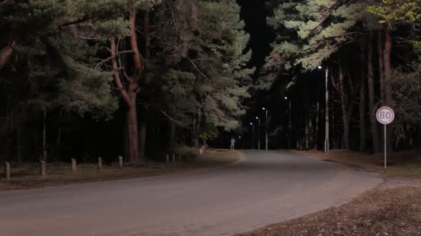 Νύχτα δρόμο στο δάσος — Αρχείο Βίντεο
