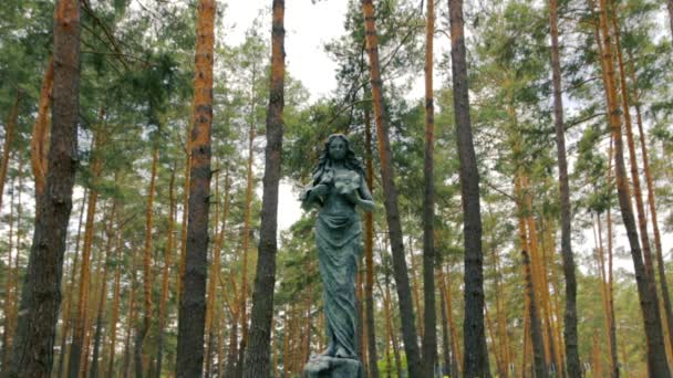 Жінка в лісовій скульптурі широка — стокове відео