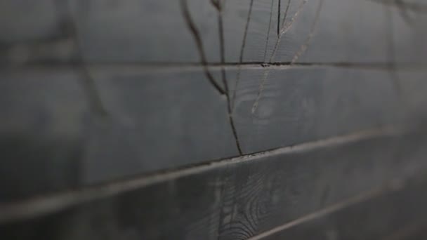 Sculpture sur bois Feuilles d'arbre 