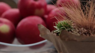 Kırmızı elma dolly vurdu