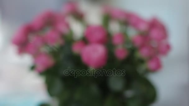 Rosa rosas empujar pulg — Vídeos de Stock