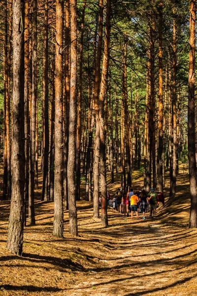 Gençler arasında çam