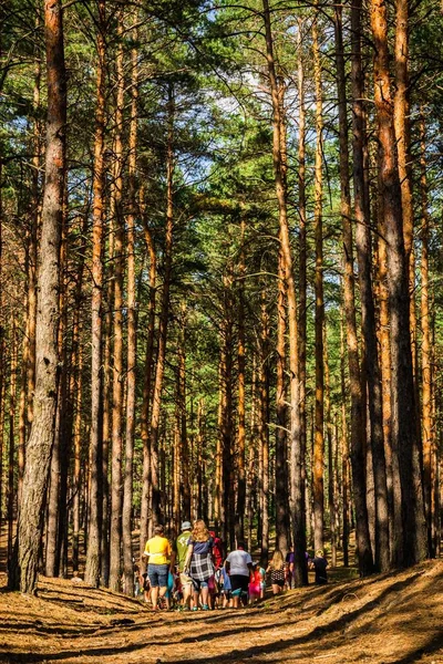 Gençler arasında çam