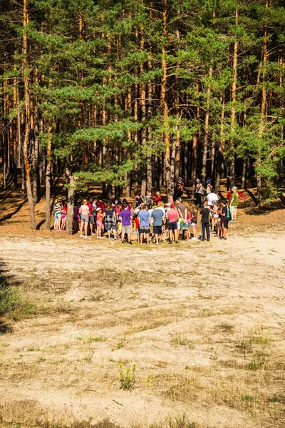 Genç orman geniş dikey grup