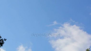 Uçak Pines üzerinde