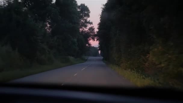 Βραδινός δρόμος στο δάσος — Αρχείο Βίντεο