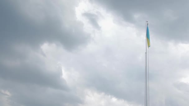 Vlag van Oekraïne en vliegtuig — Stockvideo