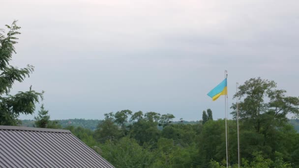 Flagge der Ukraine im ländlichen Raum — Stockvideo