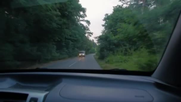 Väg i skogen Bil View — Stockvideo