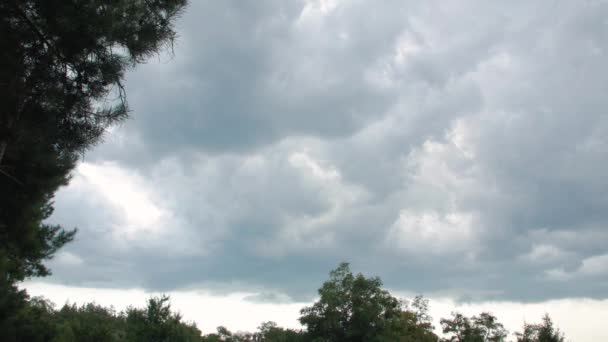 Nuvens de chuva na floresta — Vídeo de Stock