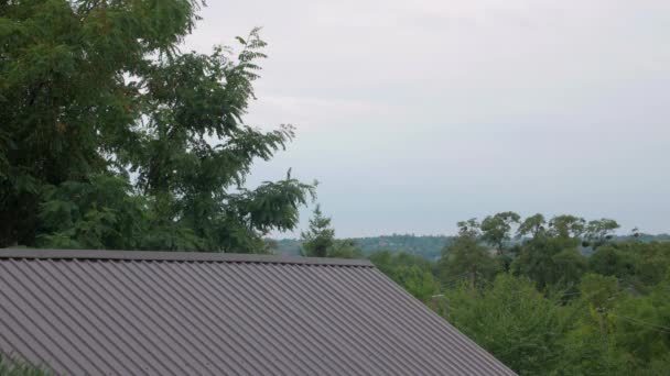 Landschapsbomen en lucht op het platteland — Stockvideo