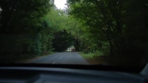 O túnel das árvores naturais da estrada — Vídeo de Stock