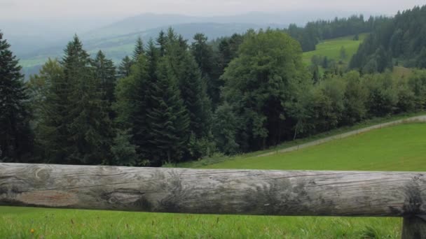 Montañas en el bosque Paisaje nublado — Vídeos de Stock