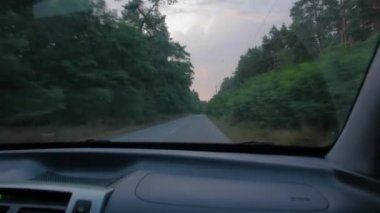 Arabadan Orman Yolu Görünümü