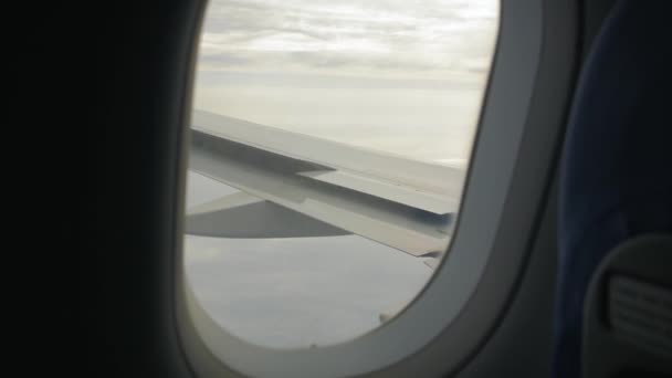 Flaps ala dalla finestra dell'aereo — Video Stock