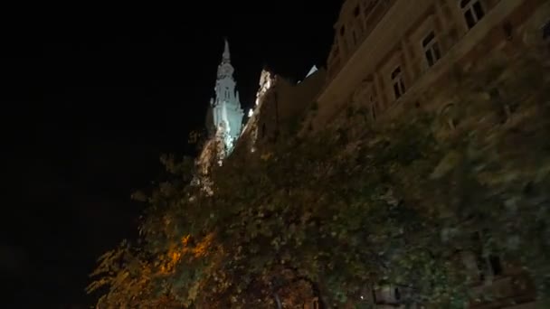 Altes gotisches Gebäude bei Nacht — Stockvideo