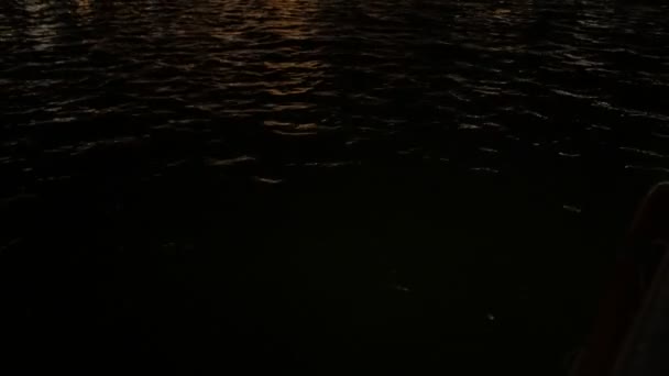 Dark River Water Light Reflection — Stock video