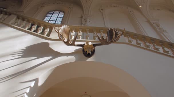 Elk Horns On The Wall — ストック動画