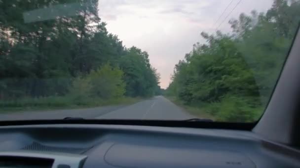 Vista desde el camino del bosque del coche — Vídeo de stock