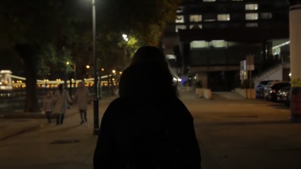 Flickan går i natten — Stockvideo
