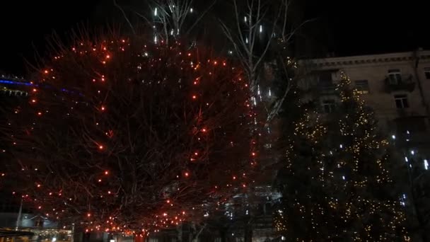 Christmas Illumination On Trees Outdoors — Stok video