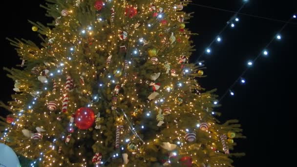 Árbol de Navidad con bastón de caramelo — Vídeos de Stock
