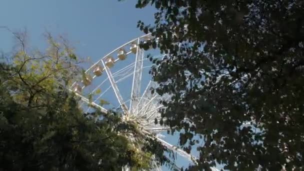 Ferris Wheel In Park — Wideo stockowe