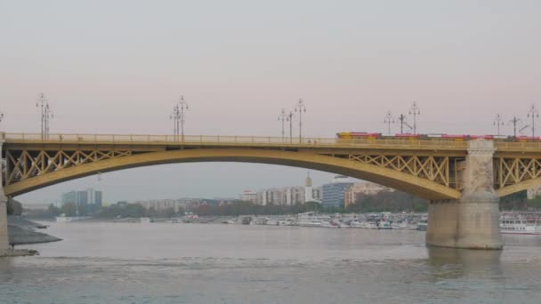 Panorama van de rivier Budapest — Stockvideo