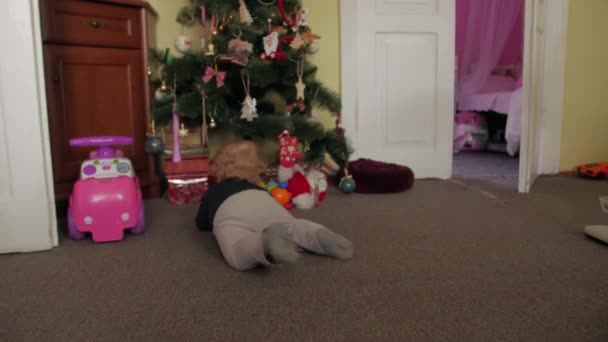Kleiner Junge unter dem Weihnachtsbaum — Stockvideo