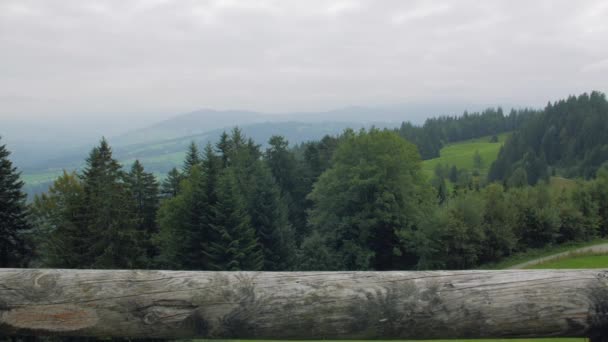 Wald in den Bergen bewölkte Landschaft — Stockvideo