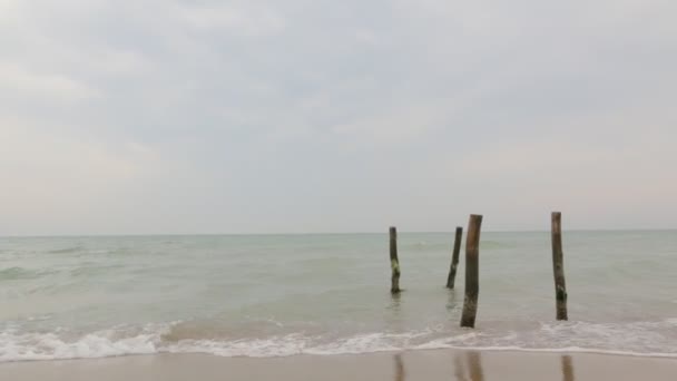 Paisaje de playa y niña — Vídeos de Stock