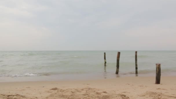 Paisaje playa y niña — Vídeos de Stock