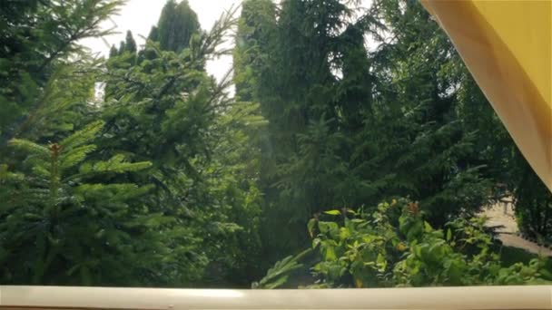 Pluie par une journée ensoleillée 