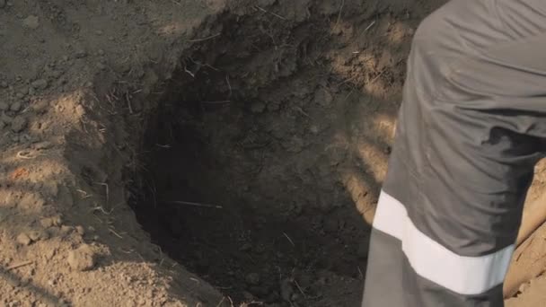 Копати землю лопатою — стокове відео