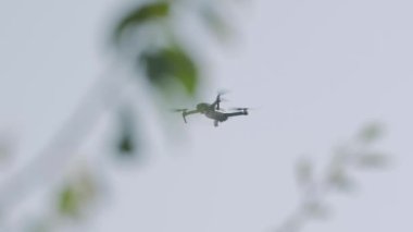 Drone ve Ağaç Dalları