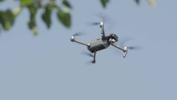 Drone Dan Cabang — Stok Video