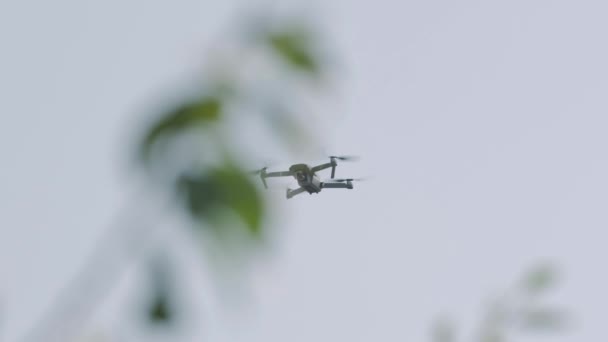 Drone vliegt over de bomen — Stockvideo