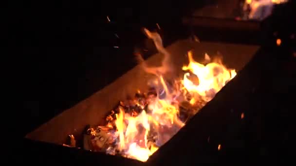 Огненная ночь — стоковое видео