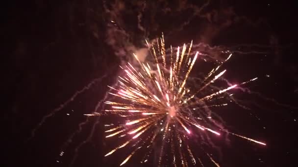 Explosión de fuegos artificiales — Vídeo de stock